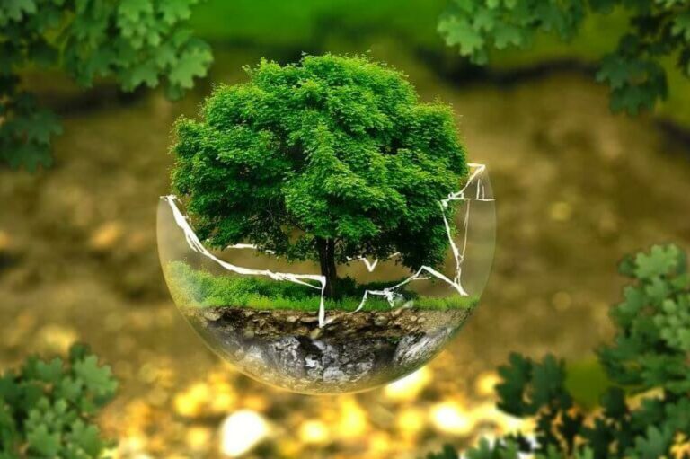 التحديات البيئية وأثرها على الحياة اليومية